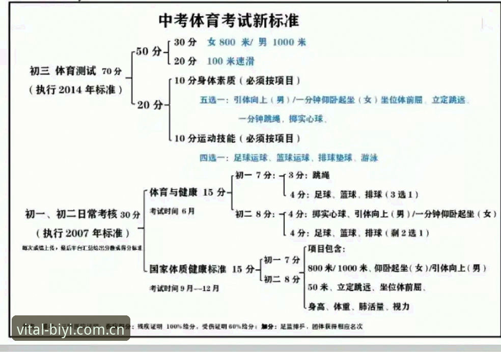 必一体育平台深度评测：重新定义体育内容服务的创新体验