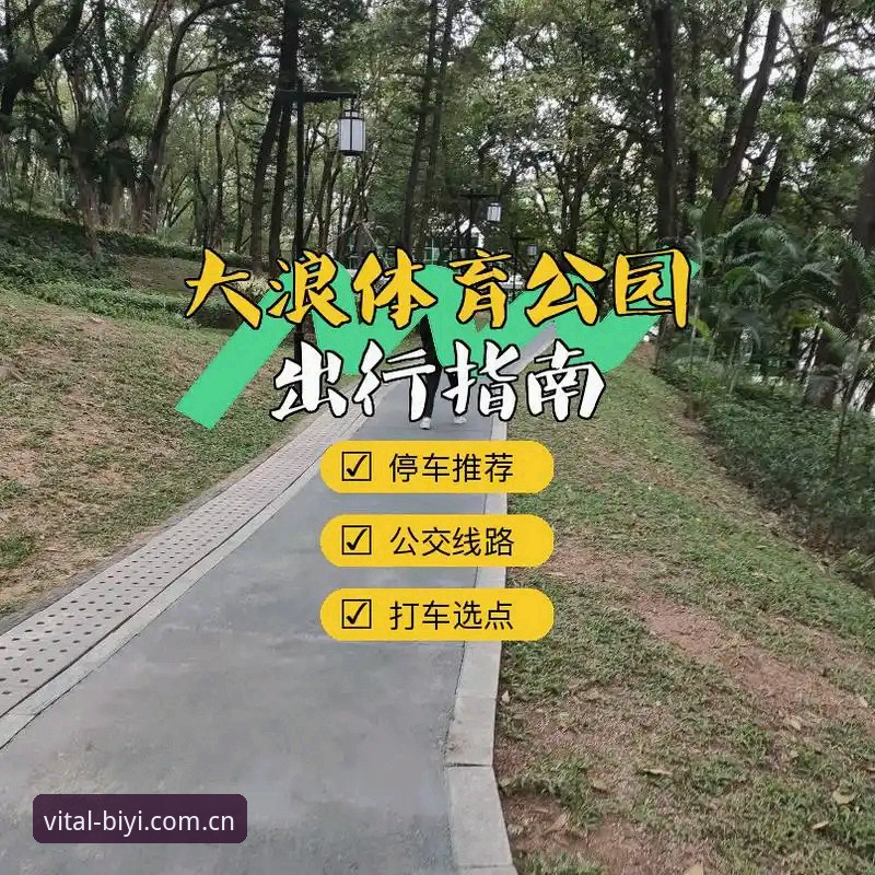 揭秘必一体育中国版的本地化策略：为什么它能成为体育爱好者的新选择？